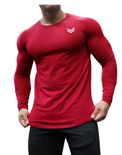 Rapid Drying Men's Long Sleeve Athletic Tee